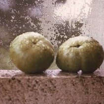 Green Tomatoes on Back Porch- Williamston, NC by Jerry Raynor